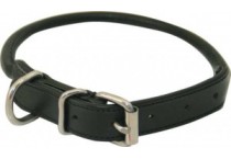 Dog Collars and Leads